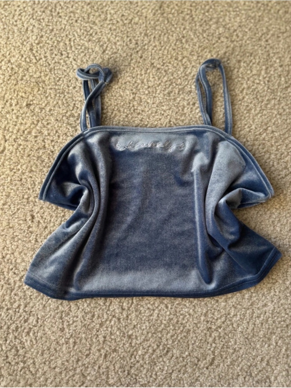 Forever 21 Blue Velvet Embroidered Tank Top y2k streetwear